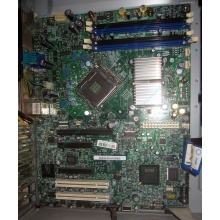 Материнская плата Intel Server Board S3200SH s.775 (Домодедово)