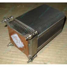Радиатор HP p/n 433974-001 для ML310 G4 (с тепловыми трубками) 434596-001 SPS-HTSNK (Домодедово)