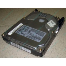Жесткий диск 18.4Gb Quantum Atlas 10K III U160 SCSI 80 pin (Домодедово)