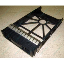 3.5" заглушки для серверов HP (Домодедово)