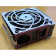 HP 224977 (224978-001) for Proliant ML370 G2/G3/G4 (Домодедово).