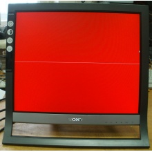 Монитор 17" TFT Sony SDM-HS75 (Домодедово)