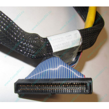 Кабель SCSI HP 166298-037 для HP ML370 G4 (Домодедово)