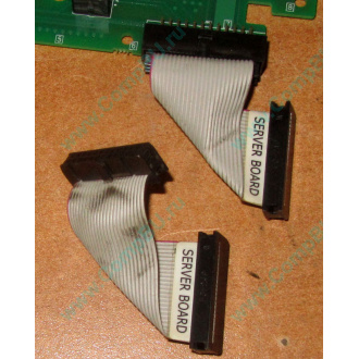 6017B0045701 Шлейф 24 pin для Intel C74974-401 T0043401-B01 корпуса SR2400 (Домодедово)